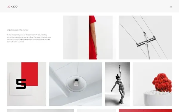 .OKOO - Photographer Portfolio Joomla Template — premium Joomla template preview